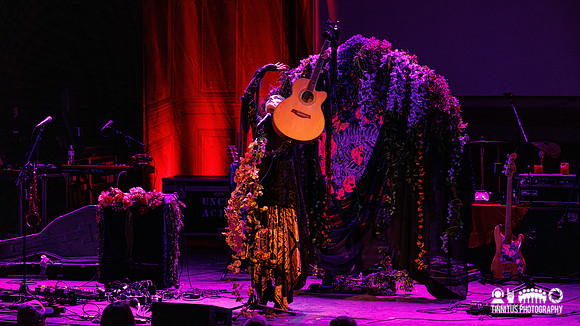 Jonathan Hulten in concert