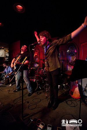 Buffalo Spiders in concert
