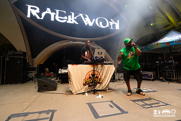 Raekwon and GZA in concert