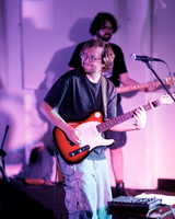 Orchid Mantis in concert