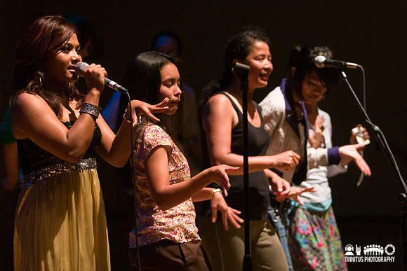 Dengue Fever in concert