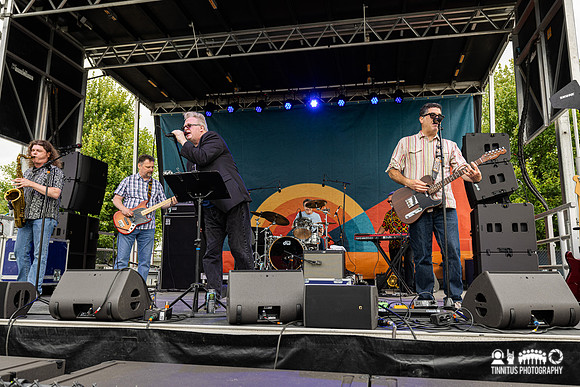 Gypsy Moths in concert