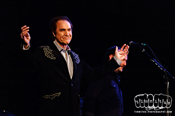 Ray Davies in concert