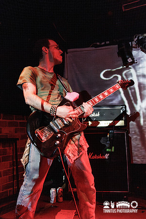 Poison Ruin in concert