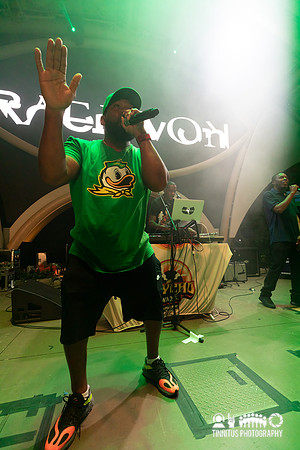 Raekwon and GZA in concert