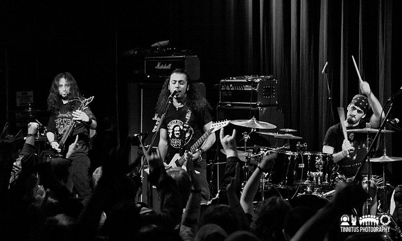Acrassicauda in concert