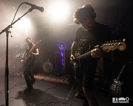 Dvne in concert
