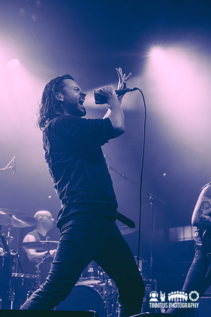 Green Lung in concert