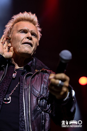 Billy Idol in concert