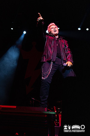 Billy Idol in concert
