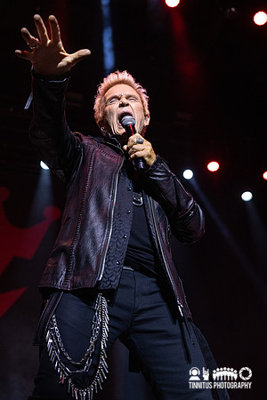 Billy Idol in concert