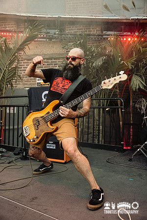 Gozu in concert