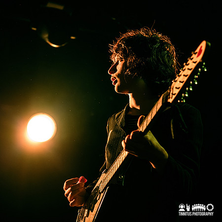 The Sharp Pins in concert