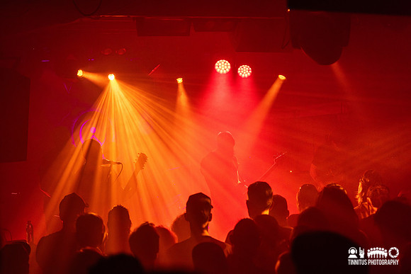 Dvne in concert