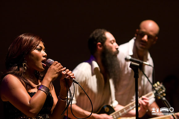 Dengue Fever in concert