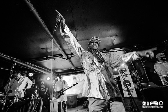 Dr. Octagon in concert