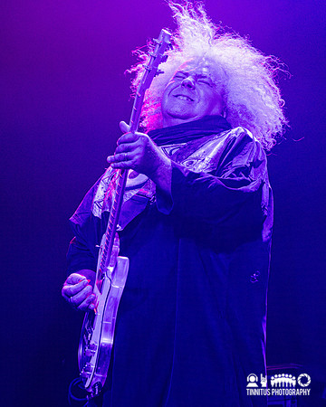 Melvins in concert