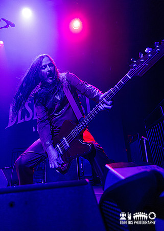 Melvins in concert