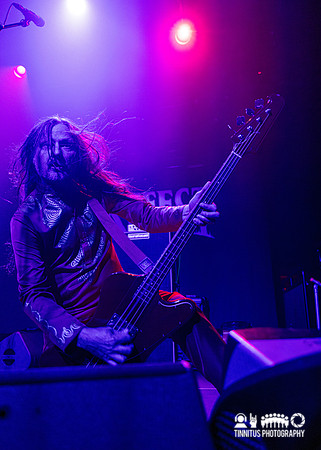 Melvins in concert