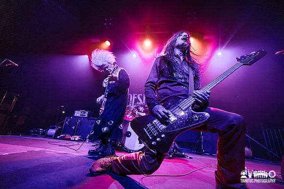 Melvins in concert