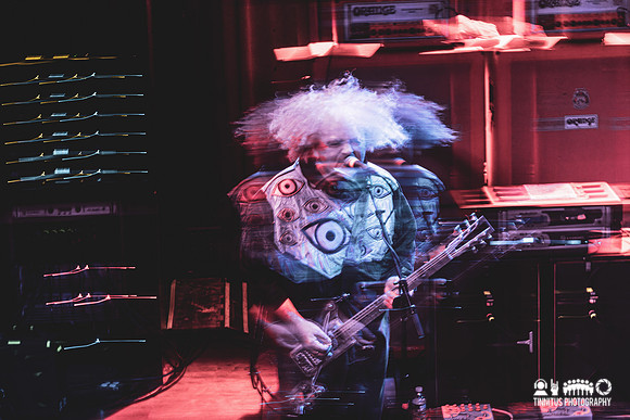 Melvins in concert
