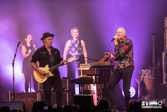 Midnight Oil in concert