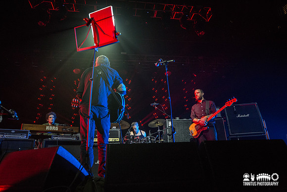 Swans in concert