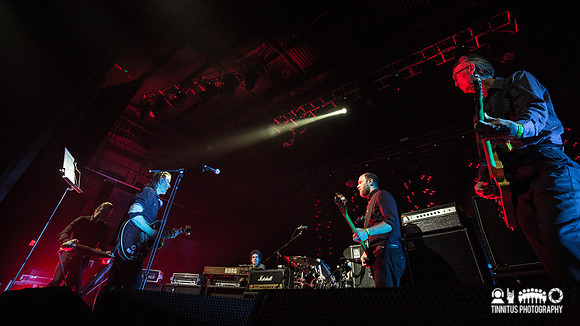Swans in concert