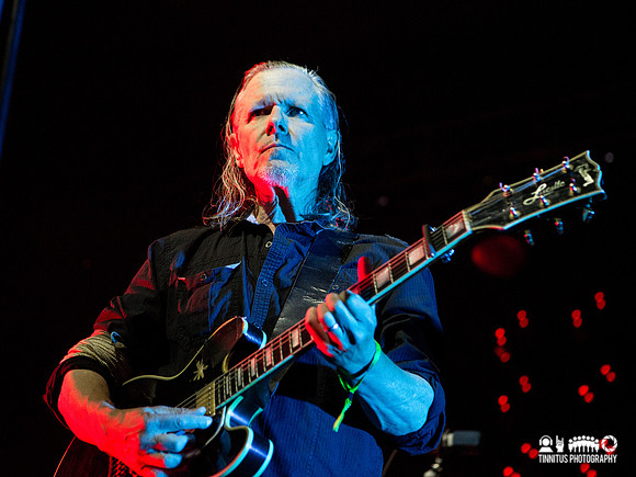 Swans in concert