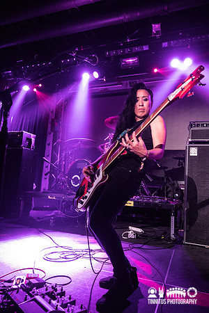 Year of the Cobra in concert
