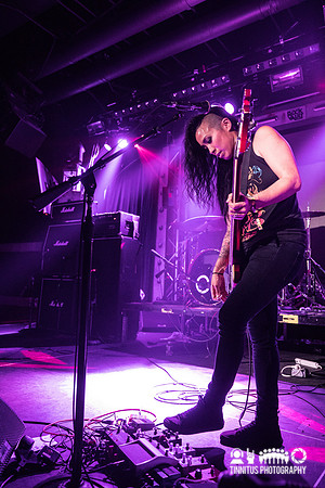 Year of the Cobra in concert