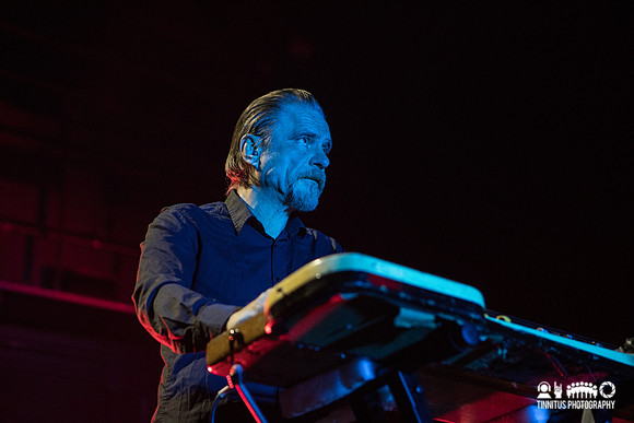 Swans in concert