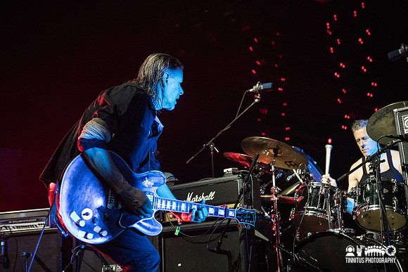 Swans in concert