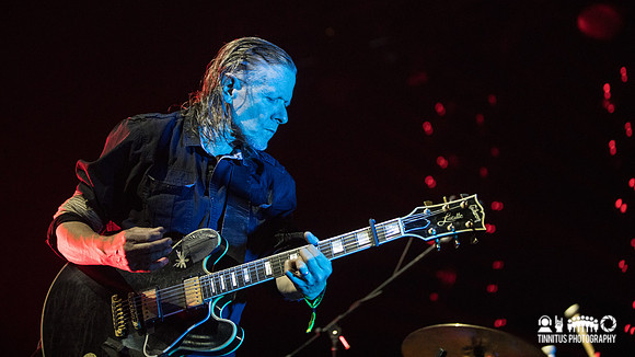Swans in concert