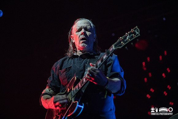Swans in concert