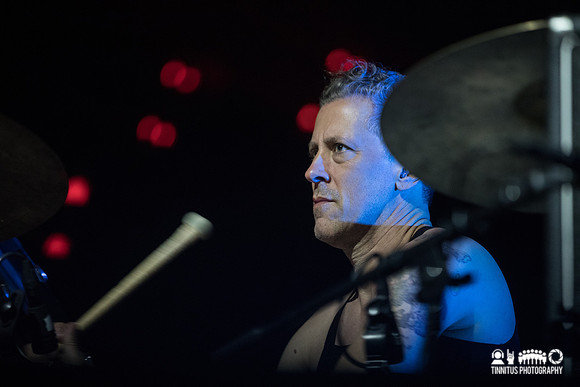 Swans in concert