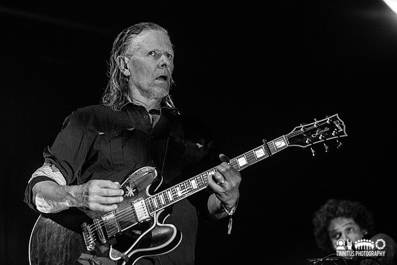 Swans in concert