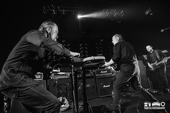 Swans in concert