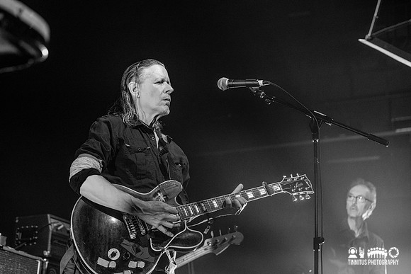 Swans in concert