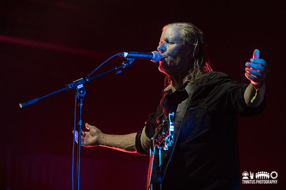 Swans in concert