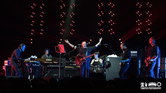 Swans in concert