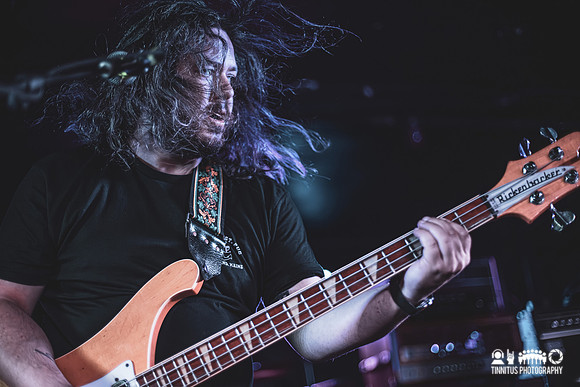 Elder in concert