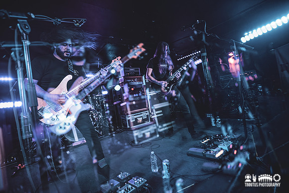 Elder in concert