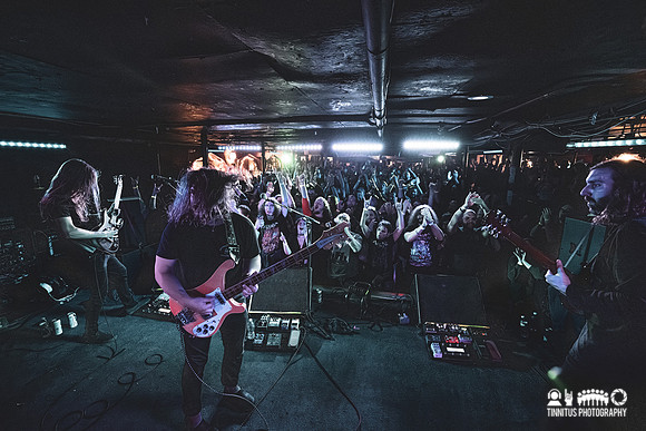 Elder in concert