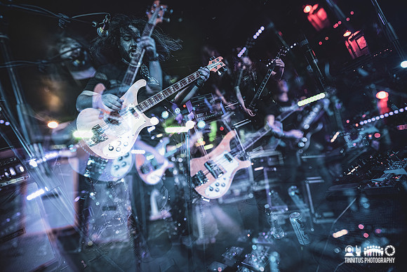 Elder in concert