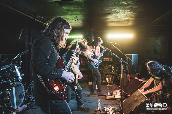 Elder in concert