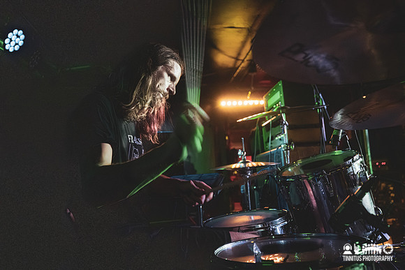 Elder in concert