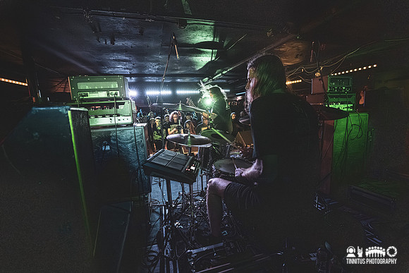 Elder in concert