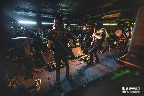 Elder in concert