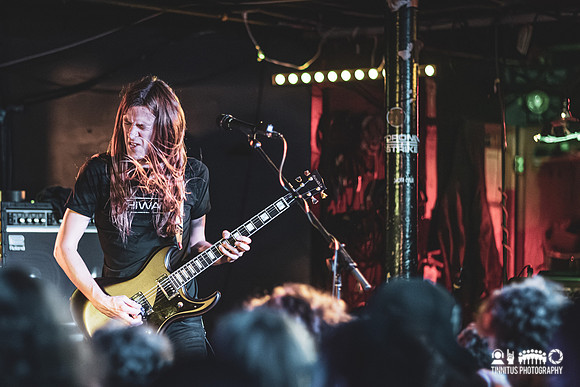 Elder in concert
